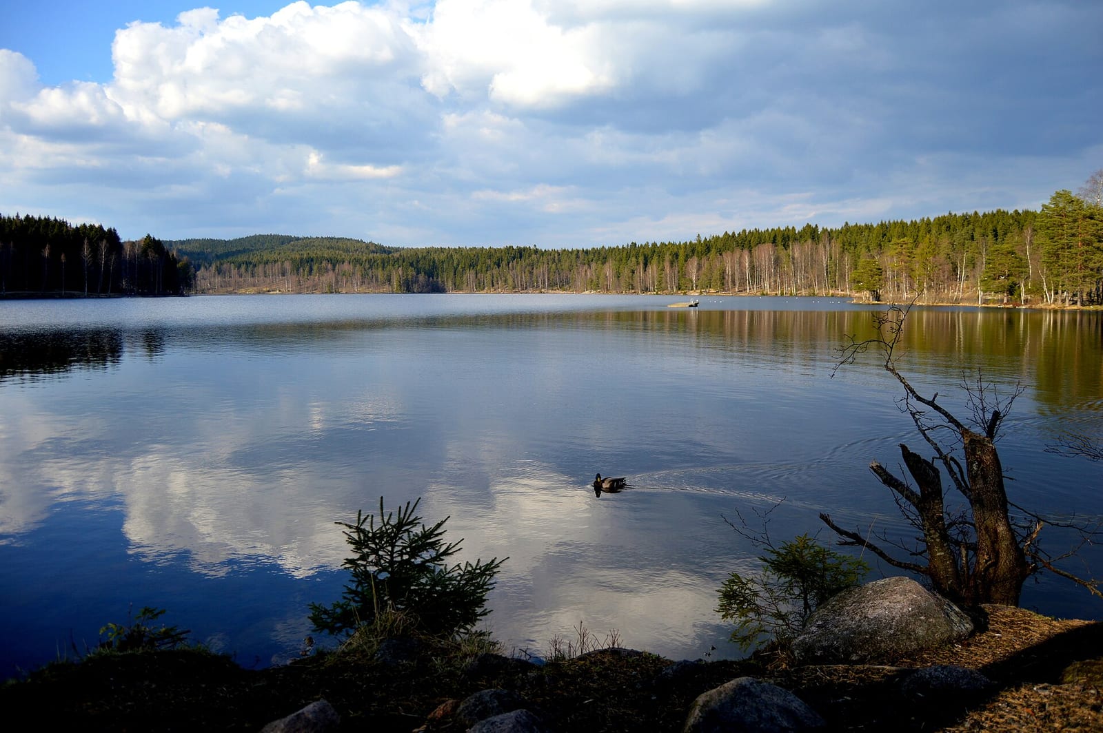 Oslo — Friluftsliv